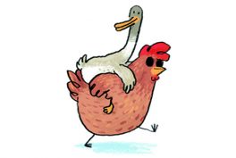 Lahme Ente, blindes Huhn